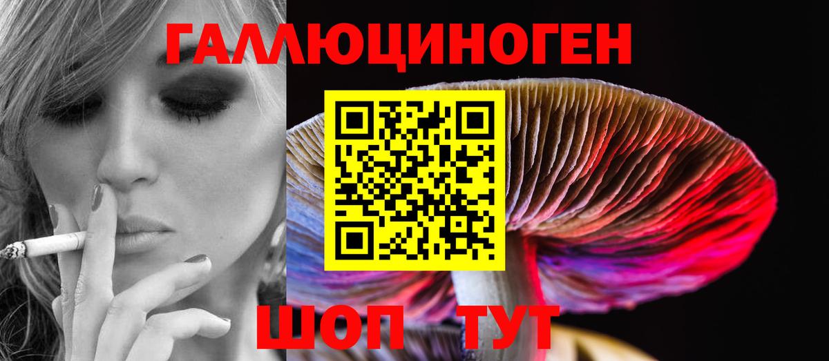 Псилоцибиновые грибы GOLDEN TEACHER  Вход с VPN  Туймазы 